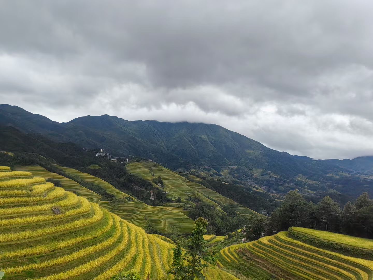龙脊梯田景观