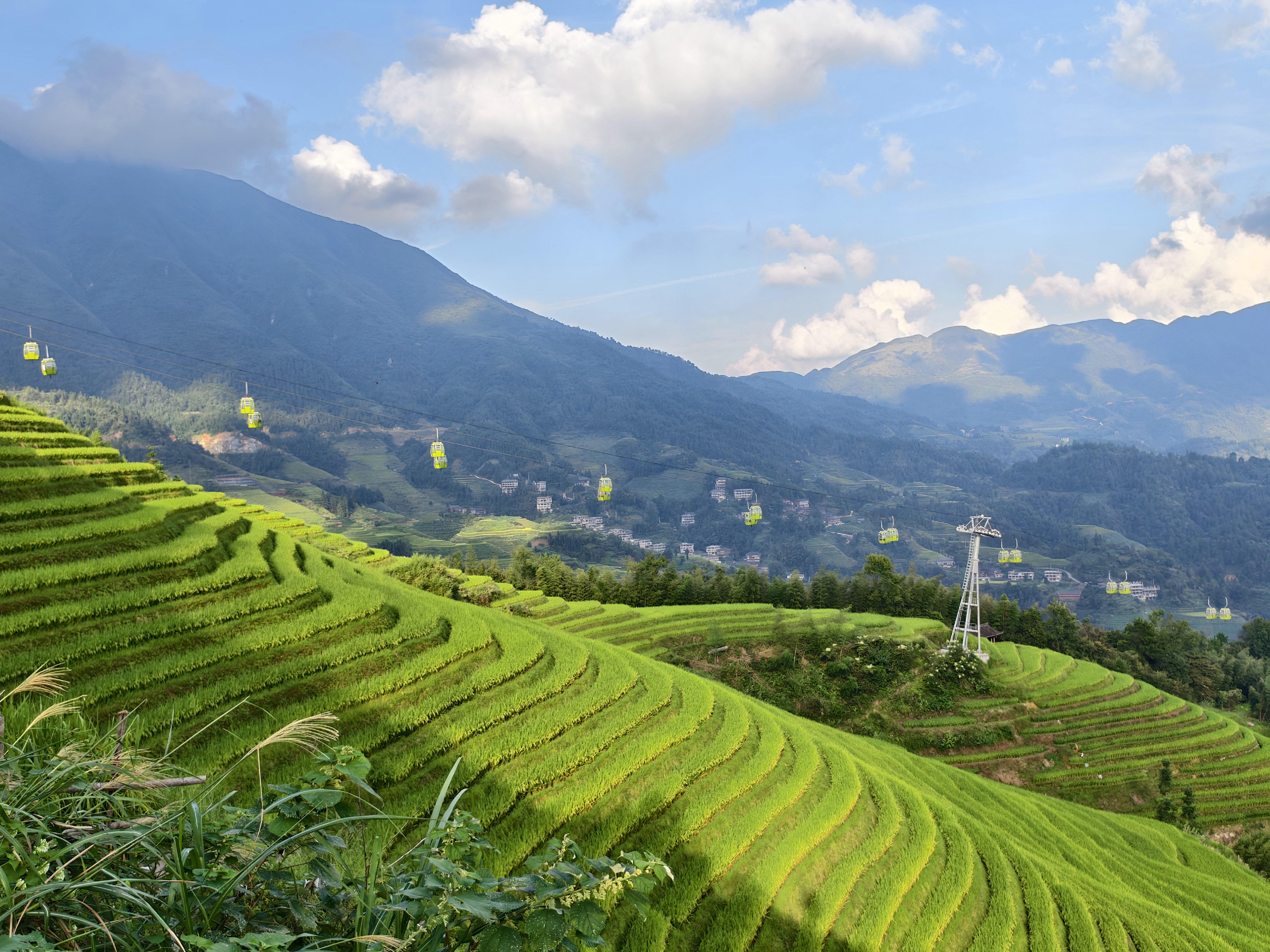 龙脊梯田秋收景观