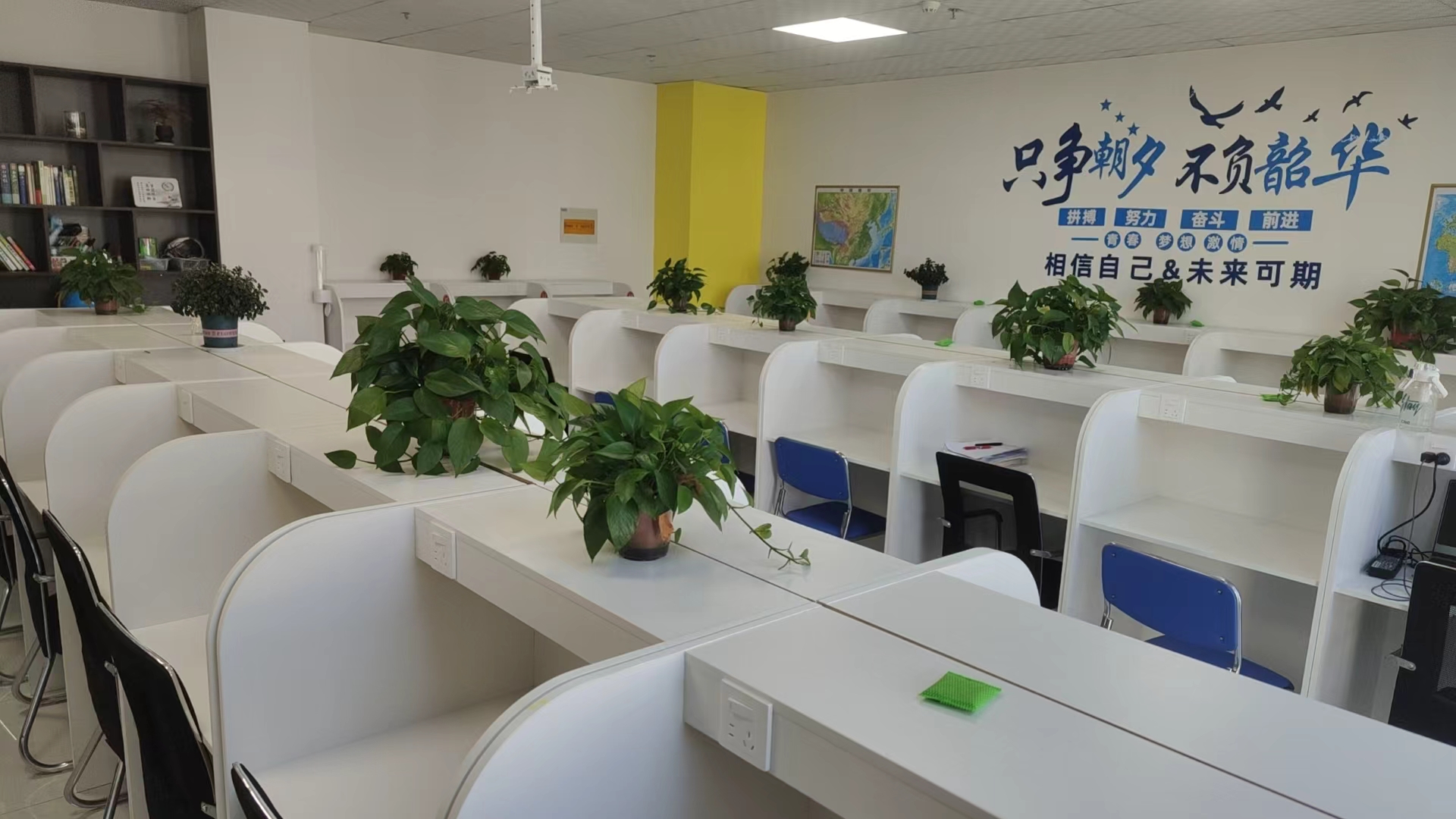 一位家长与规划师在东海新起点教育咨询
