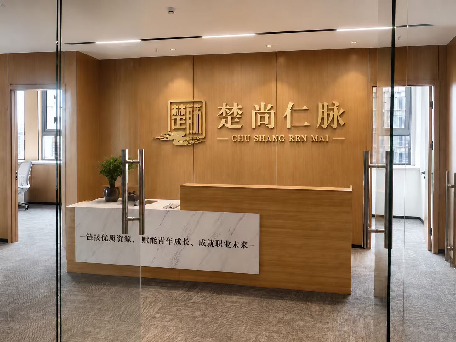 楚尚仁脉公司环境