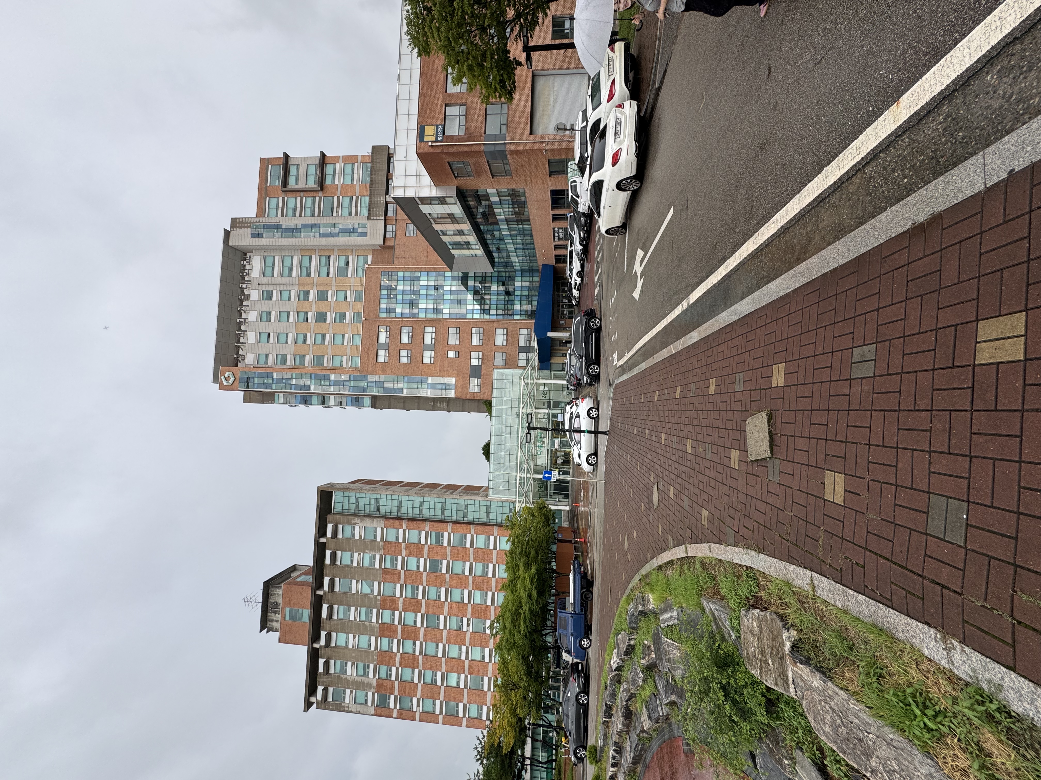 韩国留学境外服务展示