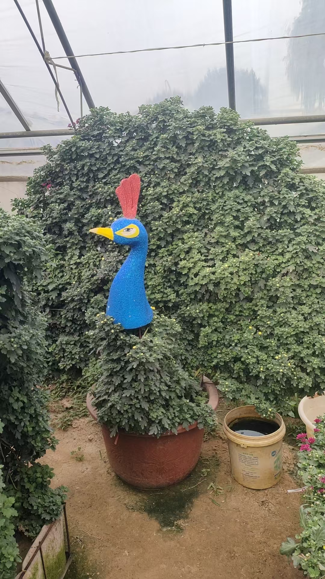 艺菊花墙制作